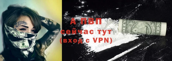 крисы Белокуриха