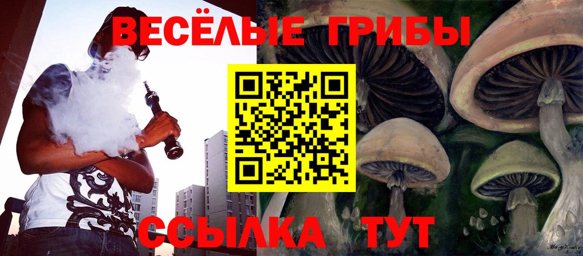 Псилоцибиновые грибы ЛСД Гатчина