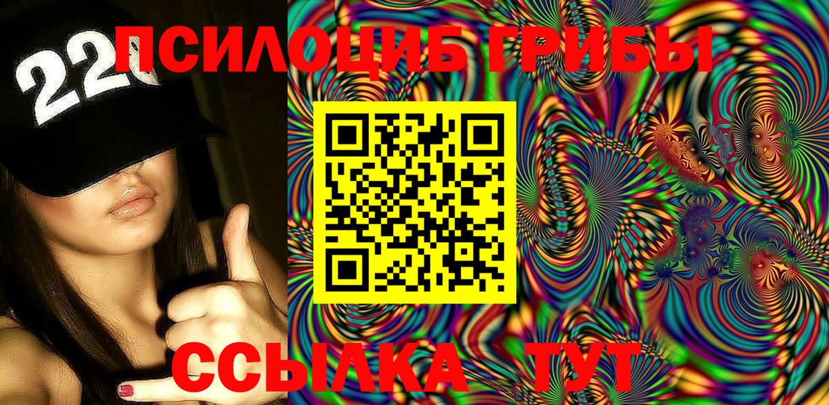 Псилоцибиновые грибы ЛСД Гатчина