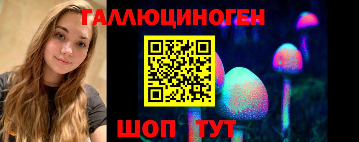 магазин продажи наркотиков  Псилоцибиновые грибы MAGIC MUSHROOMS  Вход с VPN  Псилоцибиновые грибы мухоморы  Гатчина 